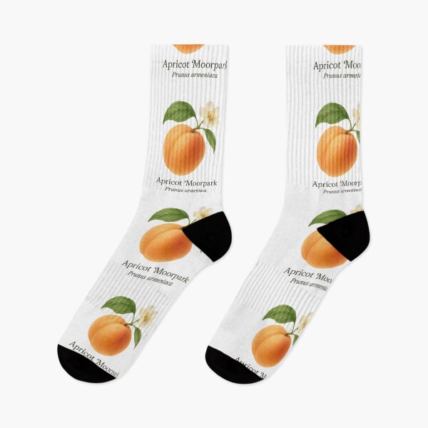 Item preview, Apricot ‘Moorpark’ – Golden Floral Botanical Illustration designed and sold by BloomKind.