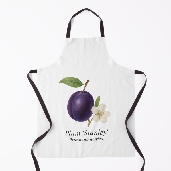 Item preview, Plum ‘Stanley’ – Deep Purple Botanical Illustration designed and sold by BloomKind.
