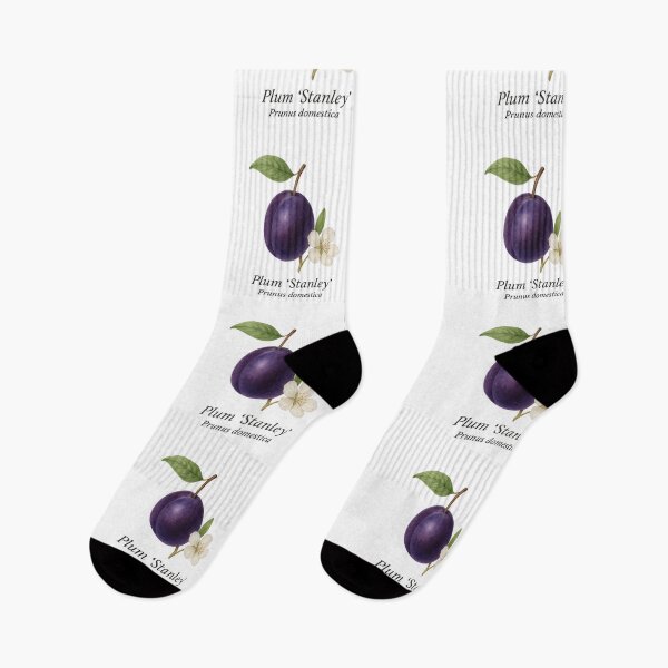 Item preview, Plum ‘Stanley’ – Deep Purple Botanical Illustration designed and sold by BloomKind.