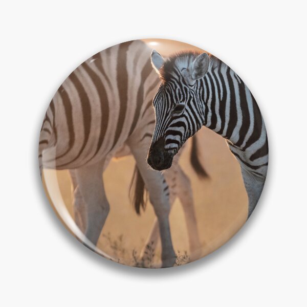 Item preview, Dustlit Stripes, Young Zebra at Dusk, Etosha designed and sold by DavideAntoniani.