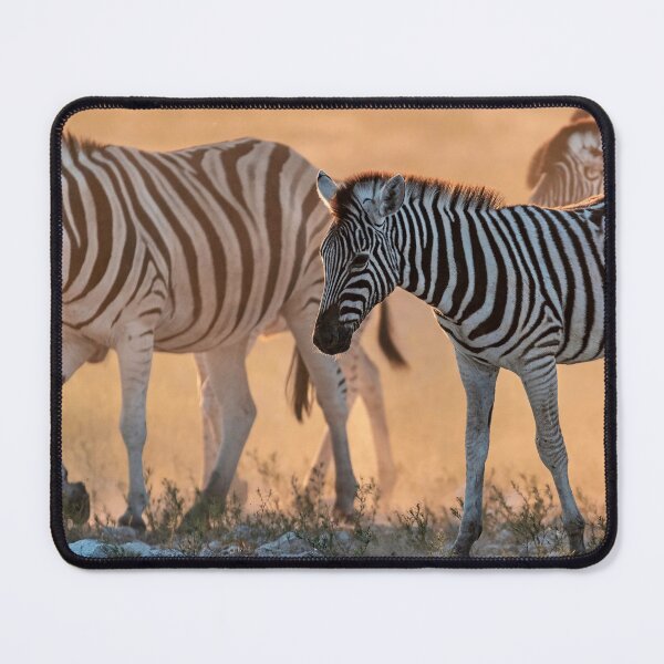 Item preview, Dustlit Stripes, Young Zebra at Dusk, Etosha designed and sold by DavideAntoniani.