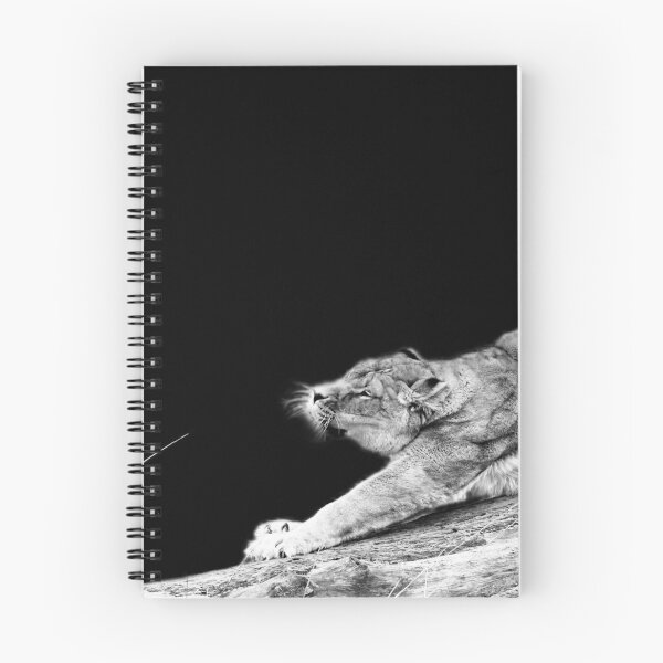 Item preview, Lioness in the morning light – Power in motion / Swiss Artwork Photography designed and sold by Raphael Wolf.