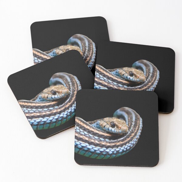 Item preview, Blue Snake – Elegance in the Darkness / Swiss Artwork Photography designed and sold by Raphael Wolf.