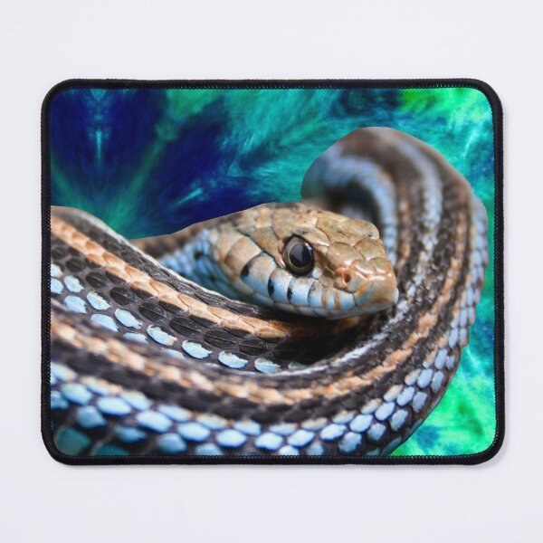 Item preview, Blue Snake – Flow of Colors in Nature / Swiss Artwork Photography designed and sold by Raphael Wolf.
