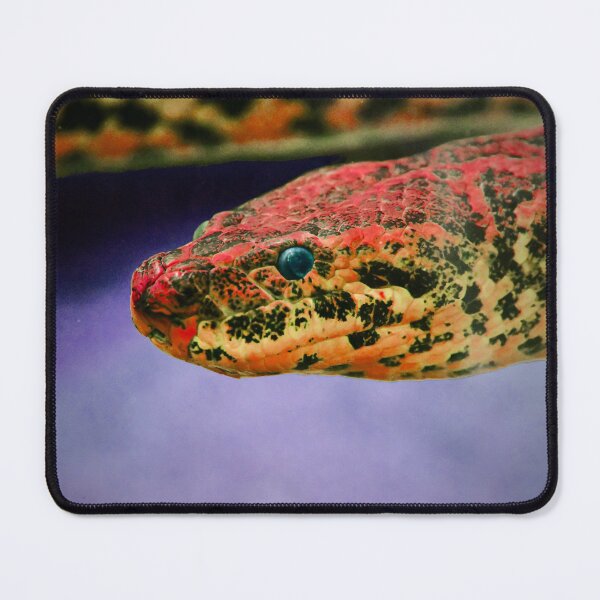 Item preview, Red Anaconda – Strength and Elegance / Swiss Artwork Photography designed and sold by Raphael Wolf.