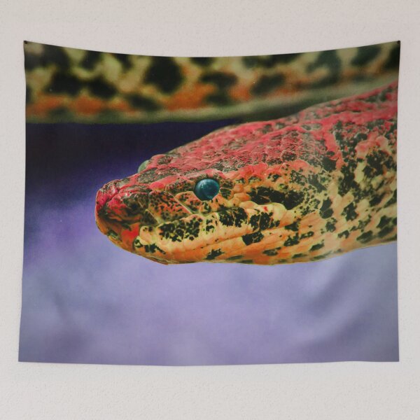 Item preview, Red Anaconda – Strength and Elegance / Swiss Artwork Photography designed and sold by Raphael Wolf.