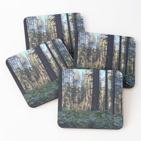 Item preview, Silver Falls State Park, forest in Portland  designed and sold by thebentknitter.