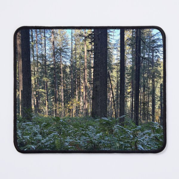 Item preview, Silver Falls State Park, forest in Portland  designed and sold by thebentknitter.