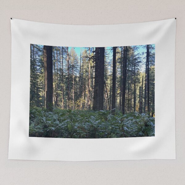 Item preview, Silver Falls State Park, forest in Portland  designed and sold by thebentknitter.