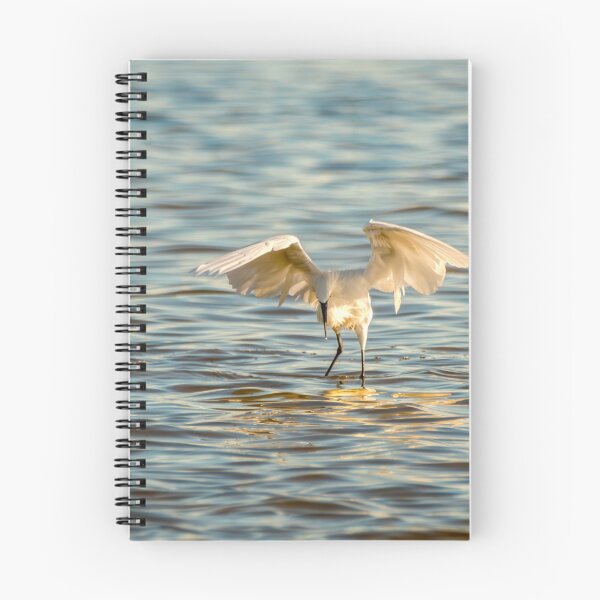 Item preview, Reddish Egret Putting On A Show designed and sold by Debra Martz.