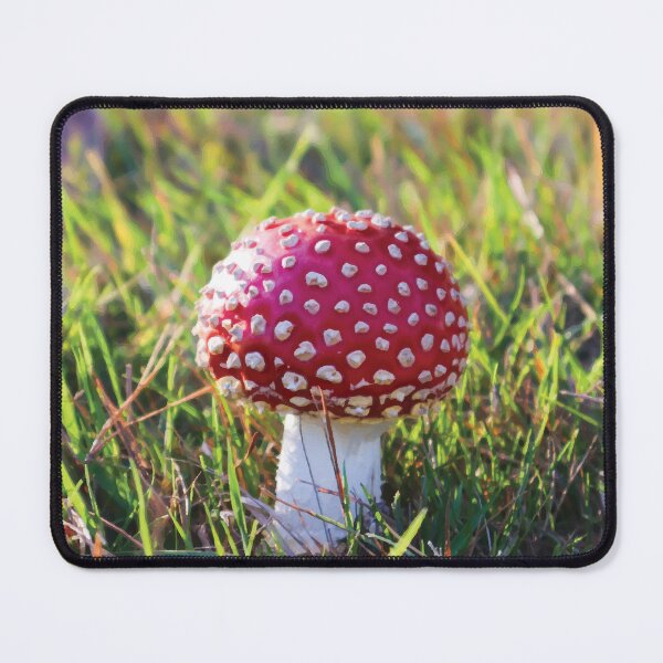 Item preview, Baby Amanita Muscaria Mushroom in a Grassy Meadow at Golden Hour designed and sold by Maddy the Maker.