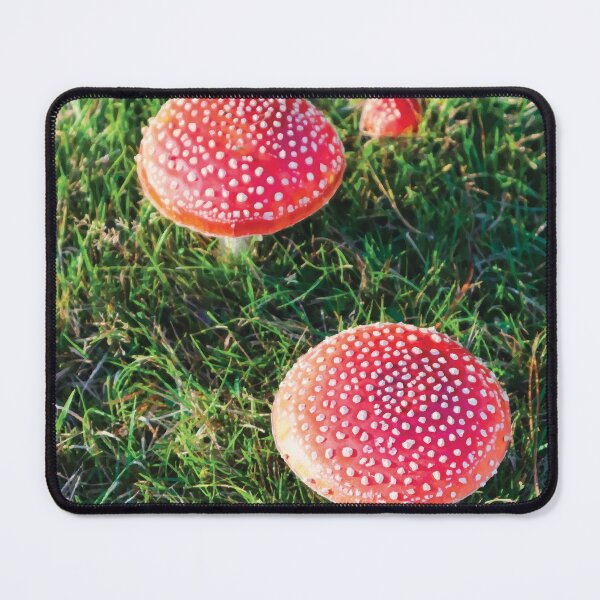 Item preview, Quartet of Amanita Muscaria Mushrooms in a Grassy Field designed and sold by Maddy the Maker.
