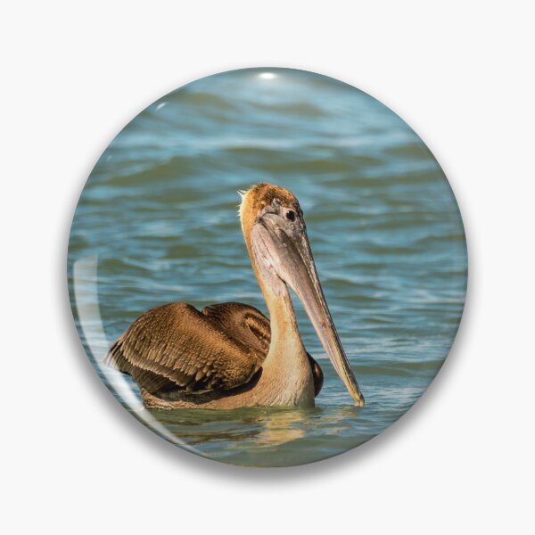 Item preview, Pelican Floating in The Ship Channel designed and sold by Debra Martz.