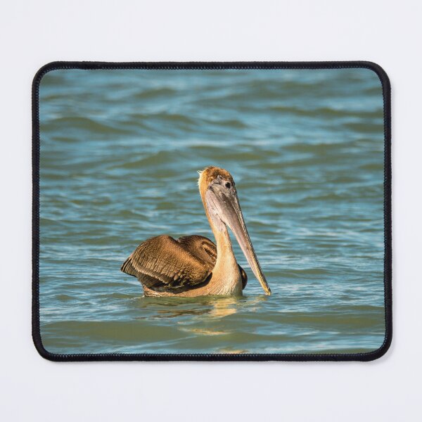 Item preview, Pelican Floating in The Ship Channel designed and sold by Debra Martz.