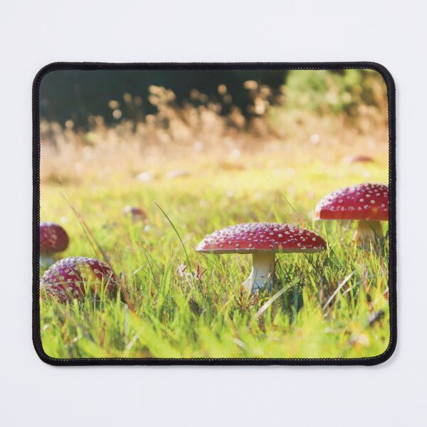Item preview, Amanita Muscaria Mushrooms in Grassy Meadow at Golden Hour designed and sold by Maddy the Maker.
