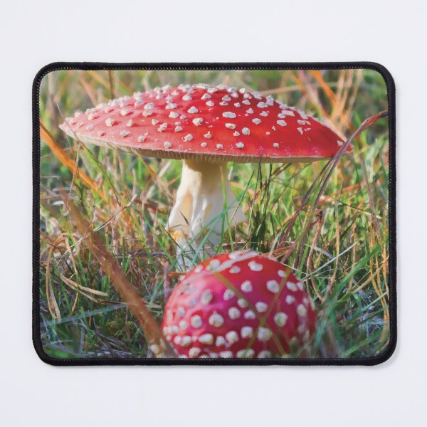 Item preview, Amanita Muscaria Mushrooms in Grassy Meadow at Golden Hour designed and sold by Maddy the Maker.