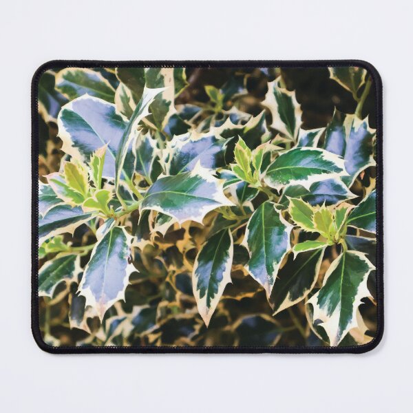 Item preview, Variegated Holly Leaves designed and sold by Maddy the Maker.