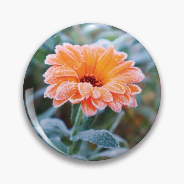 Item preview, Frosted Calendula Flower designed and sold by Maddy the Maker.