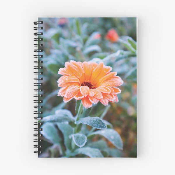 Item preview, Frosted Calendula Flower designed and sold by Maddy the Maker.