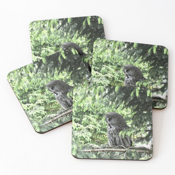 Item preview, Great Grey Owl – The Observer in the Forest / Swiss Artwork Photography designed and sold by Raphael Wolf.