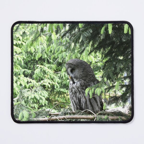 Item preview, Great Grey Owl – The Observer in the Forest / Swiss Artwork Photography designed and sold by Raphael Wolf.