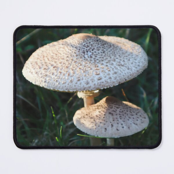 Item preview, Pair of Graceful Parasol Mushrooms at Golden Hour designed and sold by Maddy the Maker.