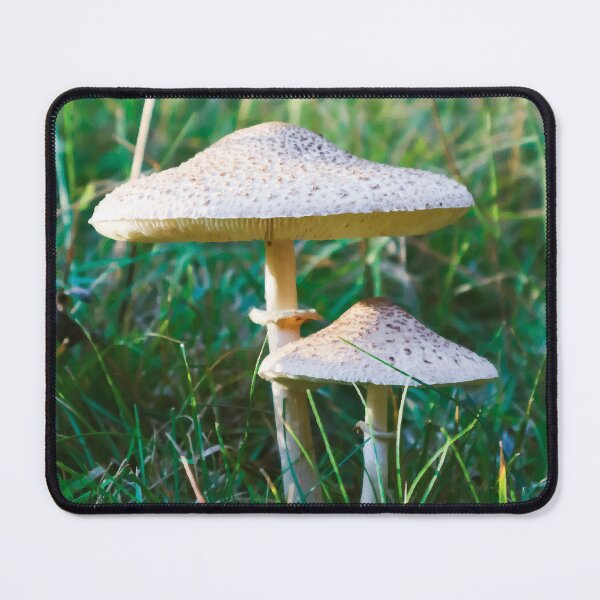 Item preview, Pair of Graceful Parasol Mushrooms on Hillside at Golden Hour designed and sold by Maddy the Maker.