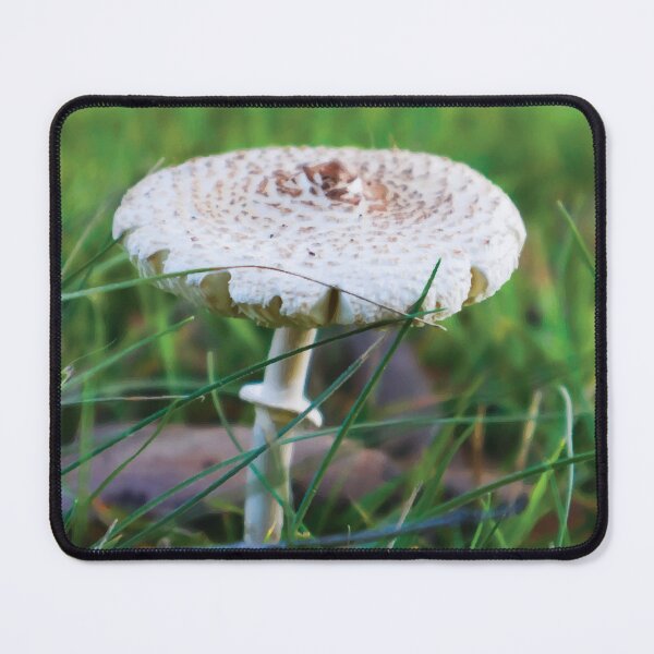 Item preview, Graceful Parasol Mushroom in Grassy Clearing at Golden Hour designed and sold by Maddy the Maker.
