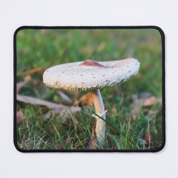 Item preview, Graceful Parasol Mushroom on Hillside at Golden Hour designed and sold by Maddy the Maker.