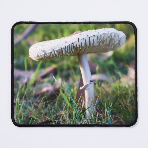 Item preview, Graceful Parasol Mushroom in Clearing at Golden Hour designed and sold by Maddy the Maker.