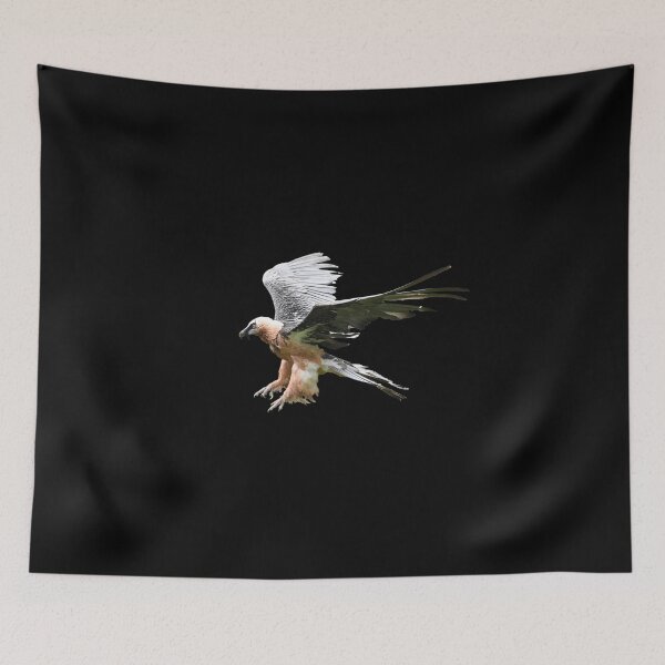 Item preview, Bearded Vulture – Majesty of the Skies / Swiss Artwork Photography designed and sold by Raphael Wolf.