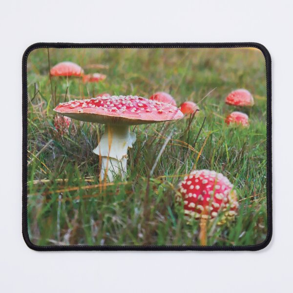 Item preview, Amanita Muscaria Mushrooms on a Grassy Hill designed and sold by Maddy the Maker.
