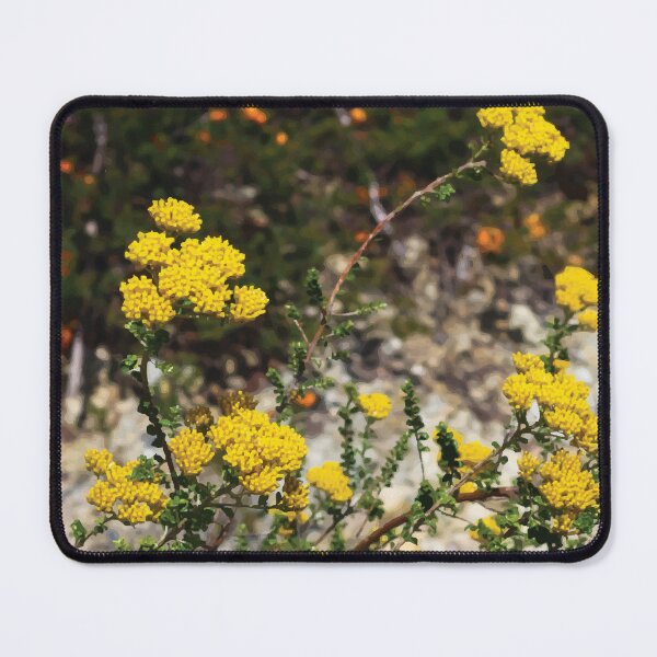 Item preview, Wild Grey Everlasting and Native Peas on Rocky Outcrop designed and sold by Maddy the Maker.