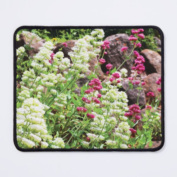 Item preview, Rockery with Pink and White Valerian Flowers designed and sold by Maddy the Maker.