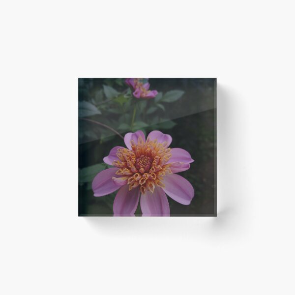 Item preview, Banger of a Bloom designed and sold by Be's Eye View.