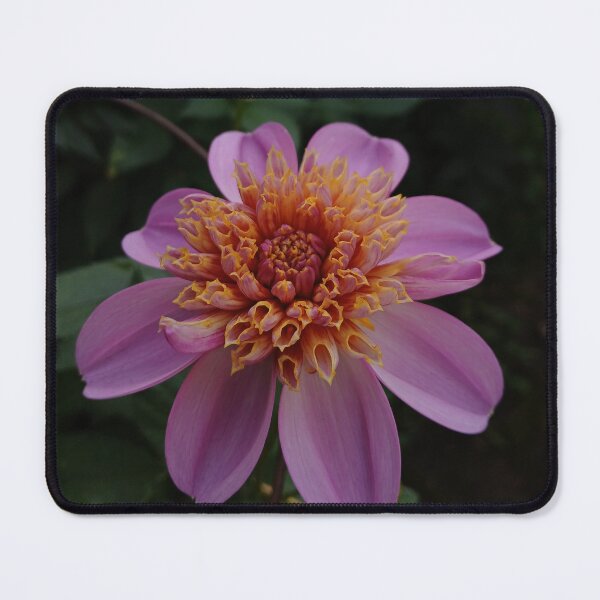 Item preview, Banger of a Bloom designed and sold by Be's Eye View.