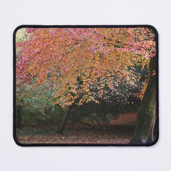 Item preview, Autumn Beauty designed and sold by Rachel J Bowler.