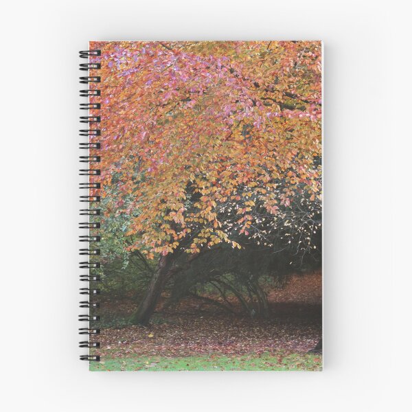 Item preview, Autumn Beauty designed and sold by Rachel J Bowler.