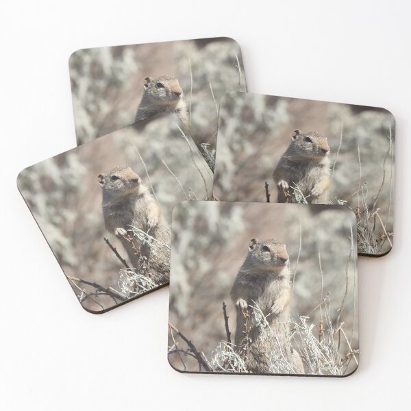 Item preview, Alert Prairie Dog designed and sold by Bri-1.