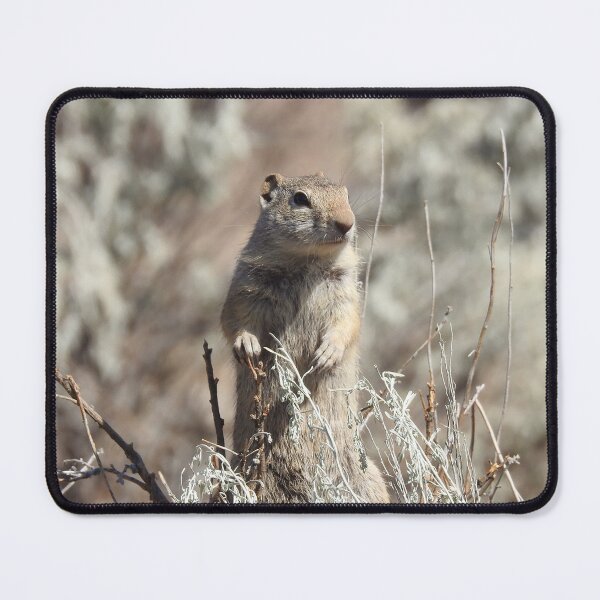 Item preview, Alert Prairie Dog designed and sold by Bri-1.