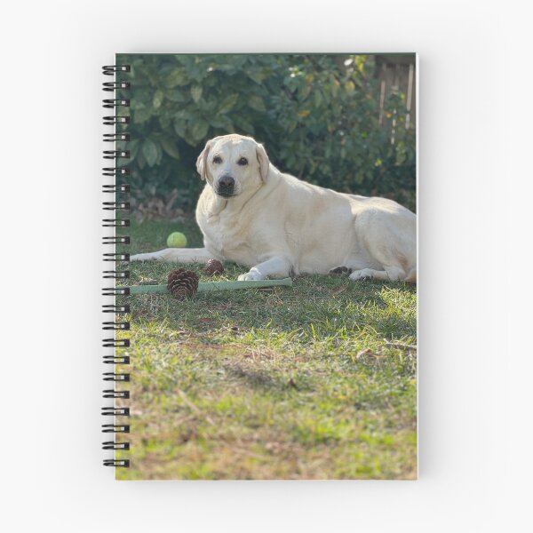 Item preview, Attentive  designed and sold by Wolfie-Rose.