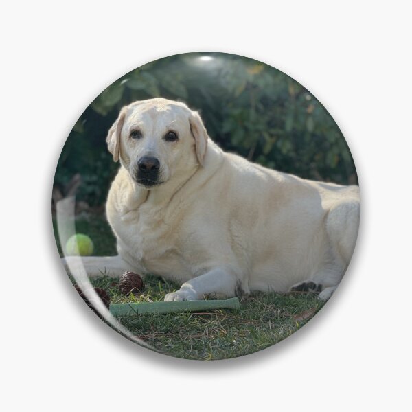 Item preview, Attentive  designed and sold by Wolfie-Rose.