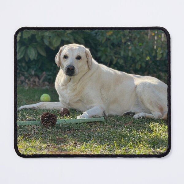 Item preview, Attentive designed and sold by Wolfie-Rose.