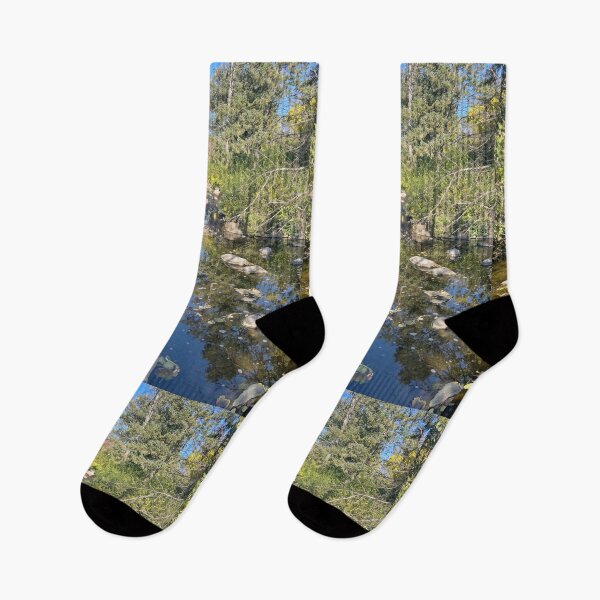 Item preview, Fall at Lake Katherine Nature Preserve designed and sold by Shannon Greve.