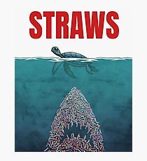 Straws Photographic Print