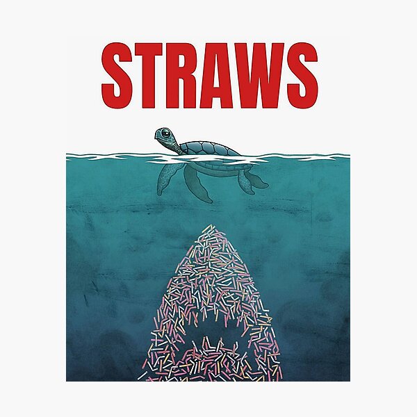 Straws Photographic Print