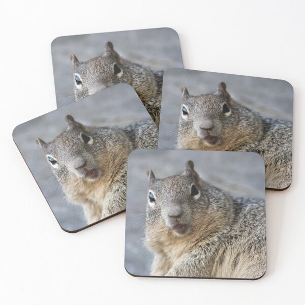Item preview, Surprised Squirrel in Utah Photography designed and sold by postcardpath.