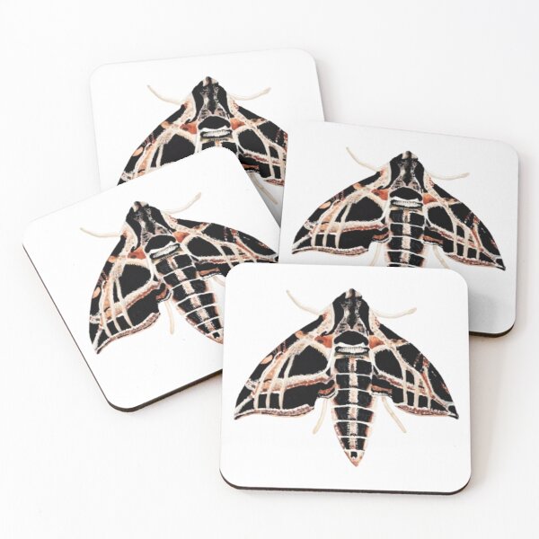 Item preview, Sphinx Moth designed and sold by KayleeRoseArt.
