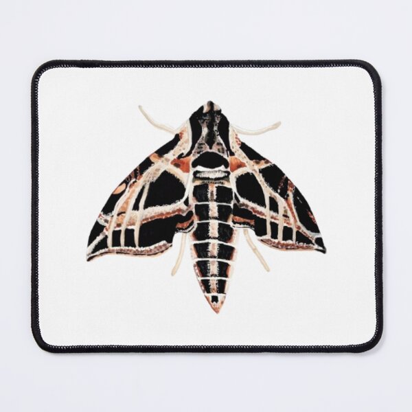Item preview, Sphinx Moth designed and sold by KayleeRoseArt.