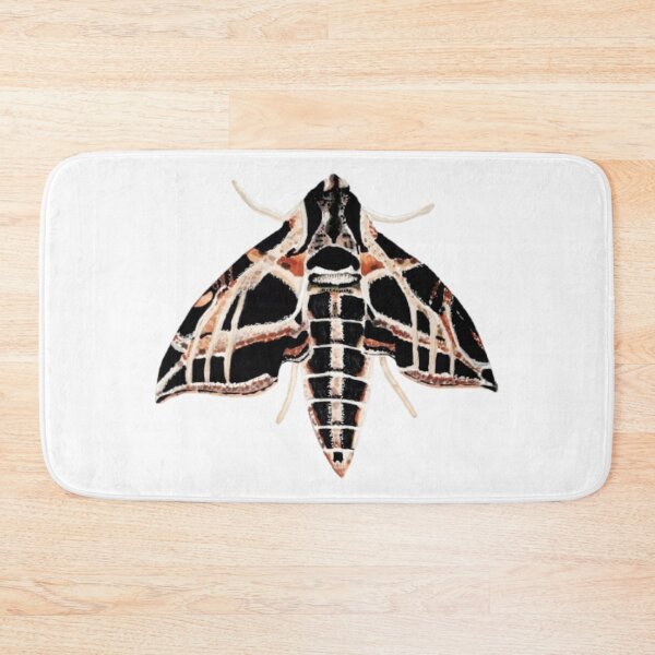 Item preview, Sphinx Moth designed and sold by KayleeRoseArt.